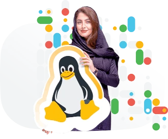 چرا نمایندگی هاست لینوکس